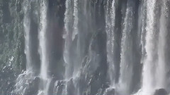 Cataratas de Iguazú - Flight Being