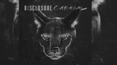 Disclosure - Nocturnal