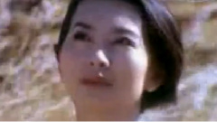 一个真实的故事