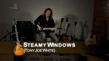 Steamy Windows (rendu célèbre par Tina Turner)