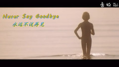 Never Say Goodbye