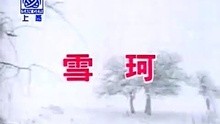 李翊君-雪珂