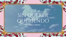 Sin Querer Queriendo (Animated Pseudo Video)