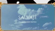 Salvaje (Animated Pseudo Video)