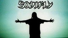 Soulfly - Roots Bloody Roots 现场版